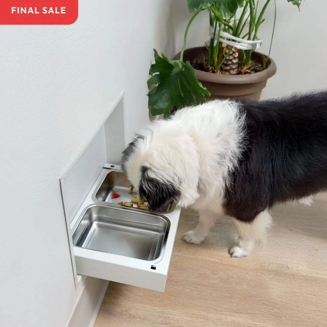 Framed Murphy Bowl [Luxe] - Image 5